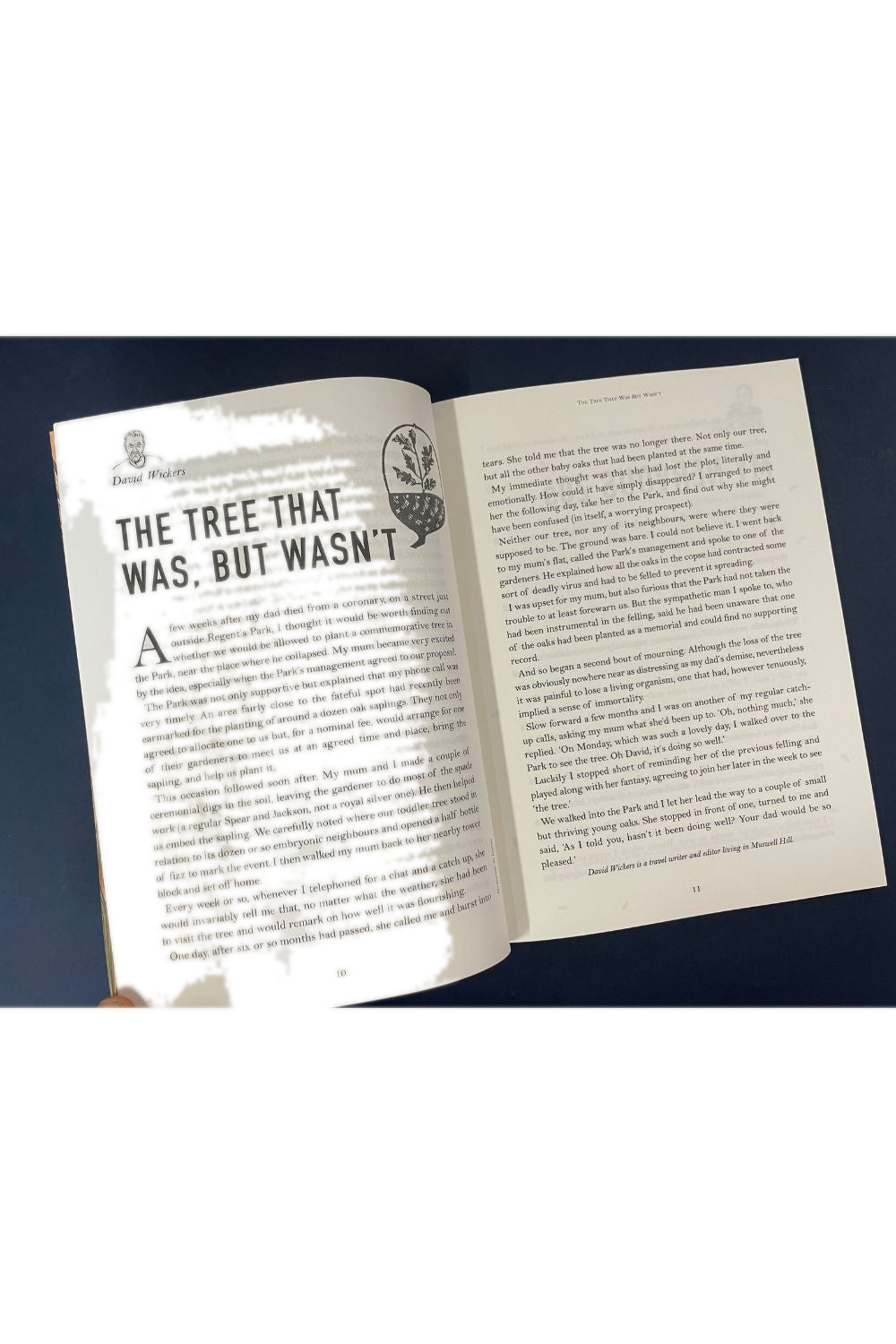 Friends on the Shelf Issue 2
