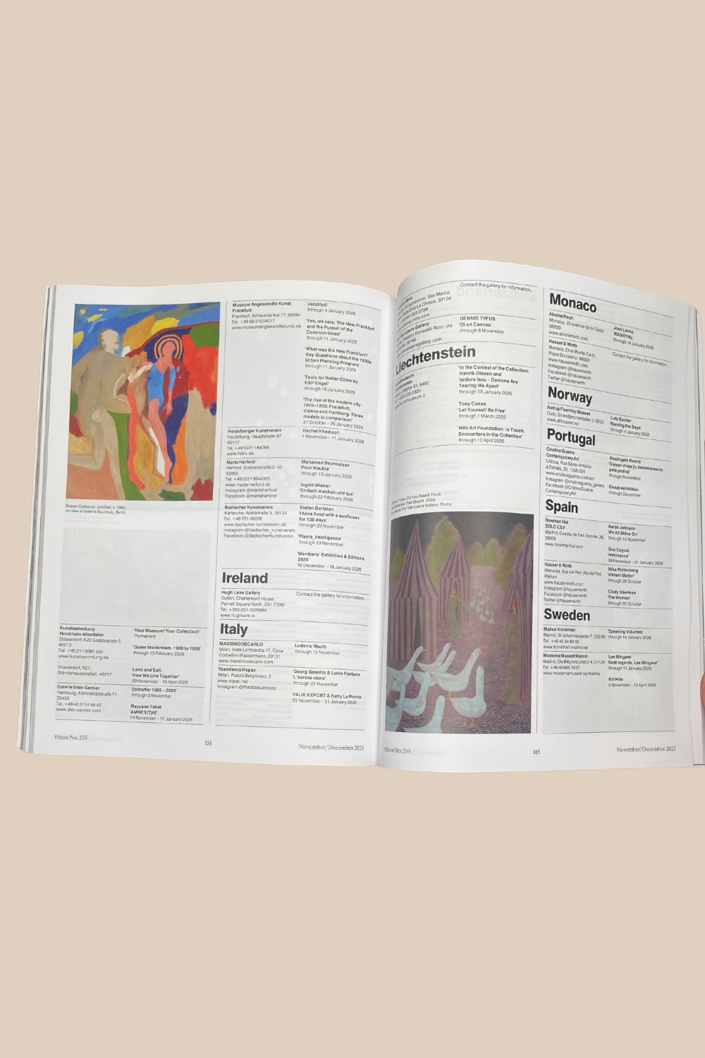 Frieze Issue 255