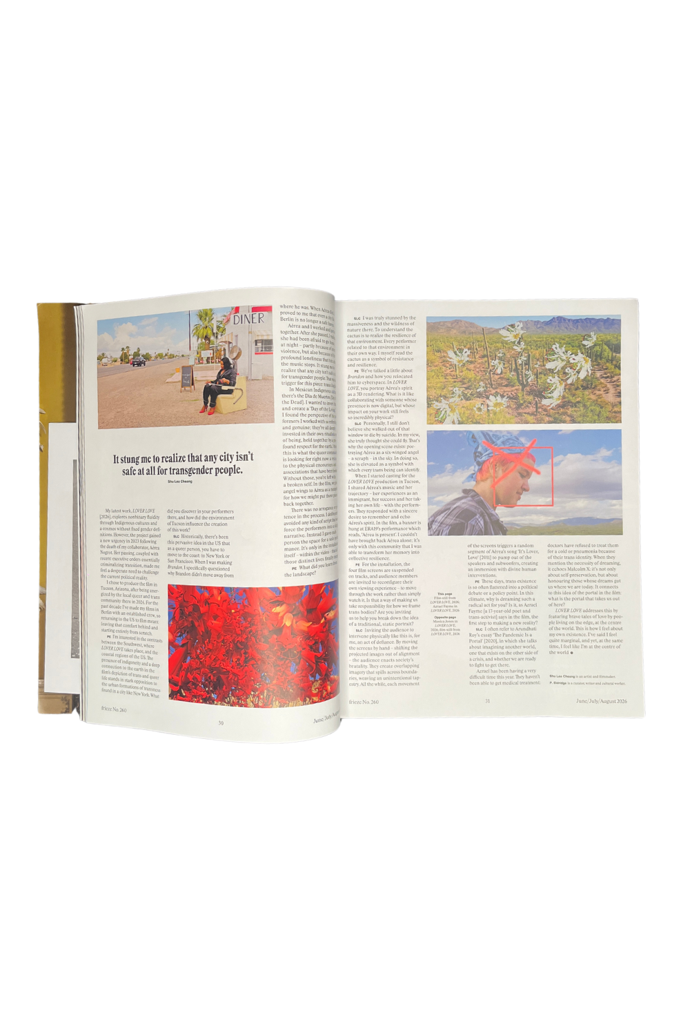 Frieze Issue 260