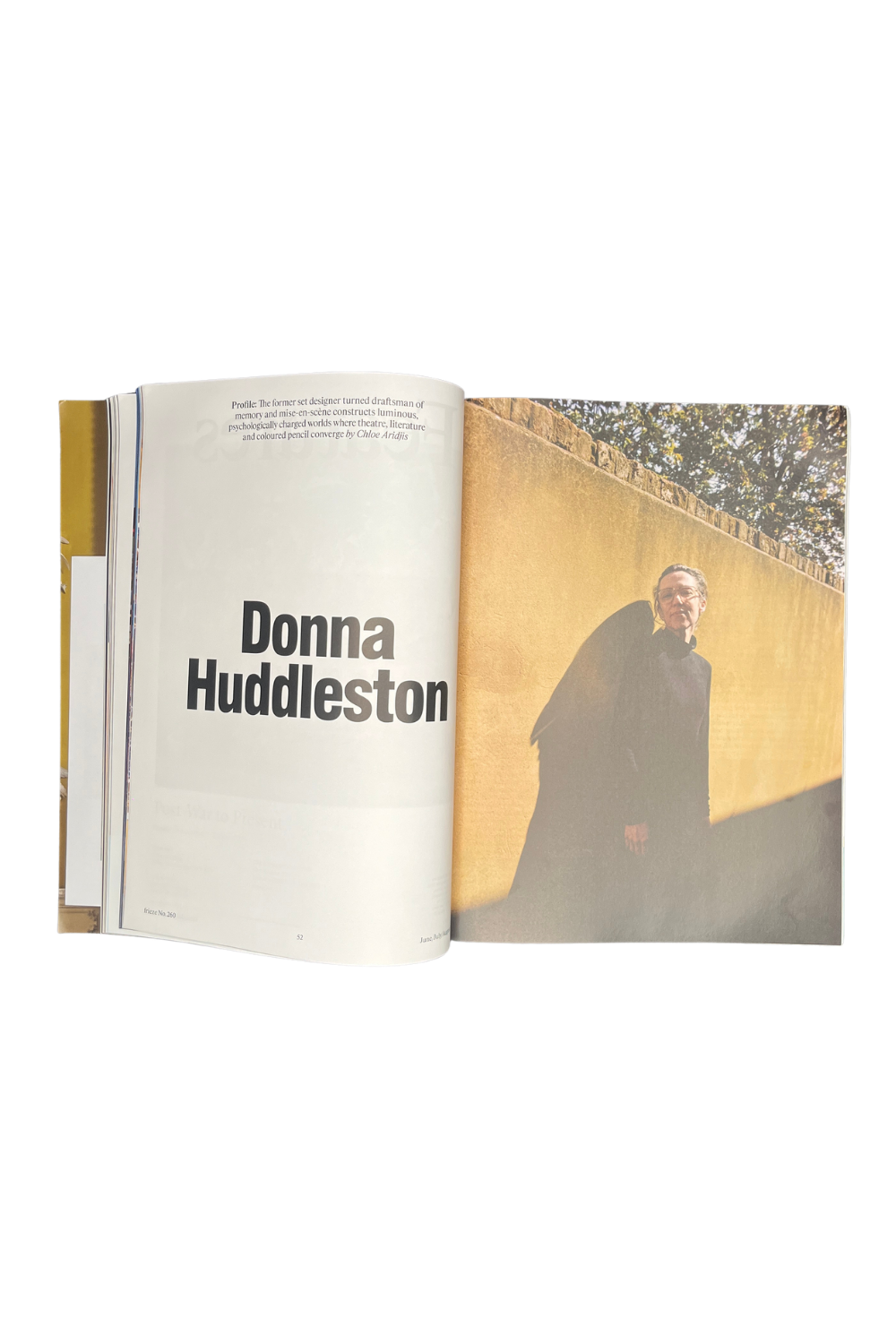 Frieze Issue 260