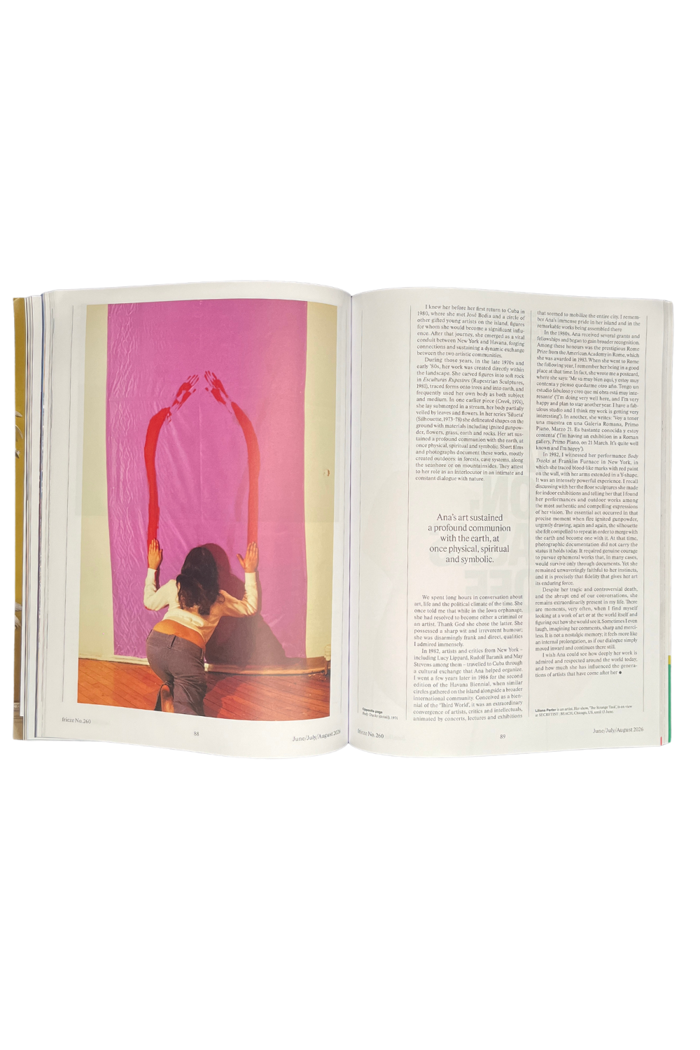 Frieze Issue 260