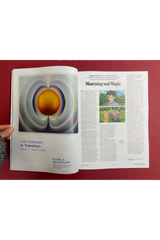Frieze Issue 240