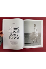 Frieze Issue 240