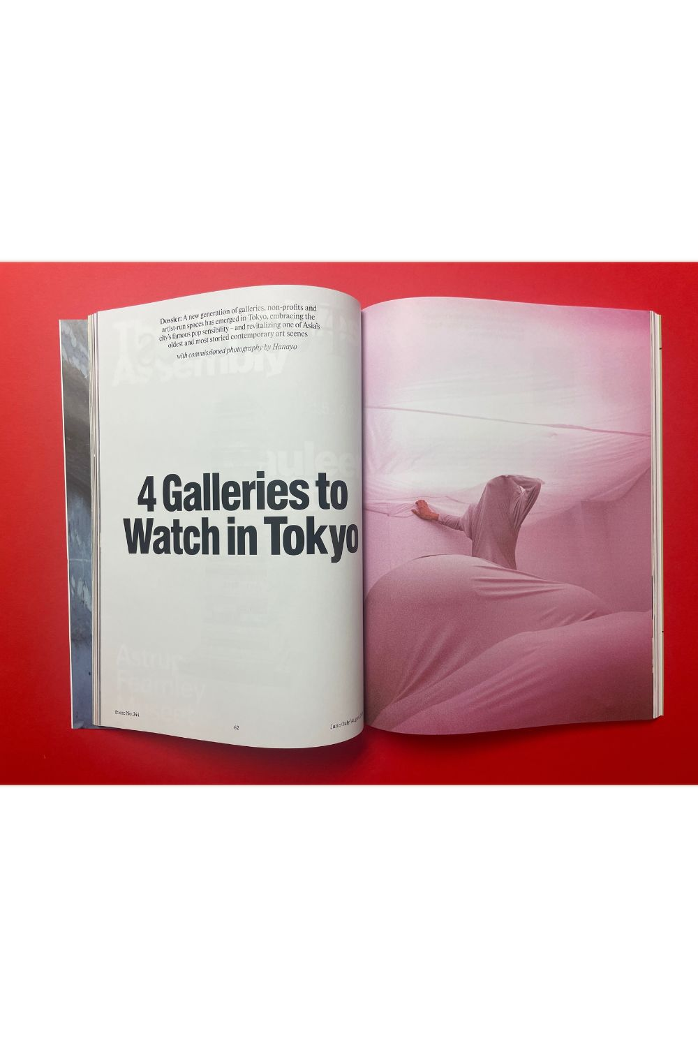 Frieze Issue 244