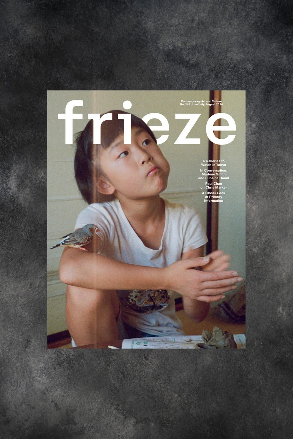 Frieze 244 Cover
