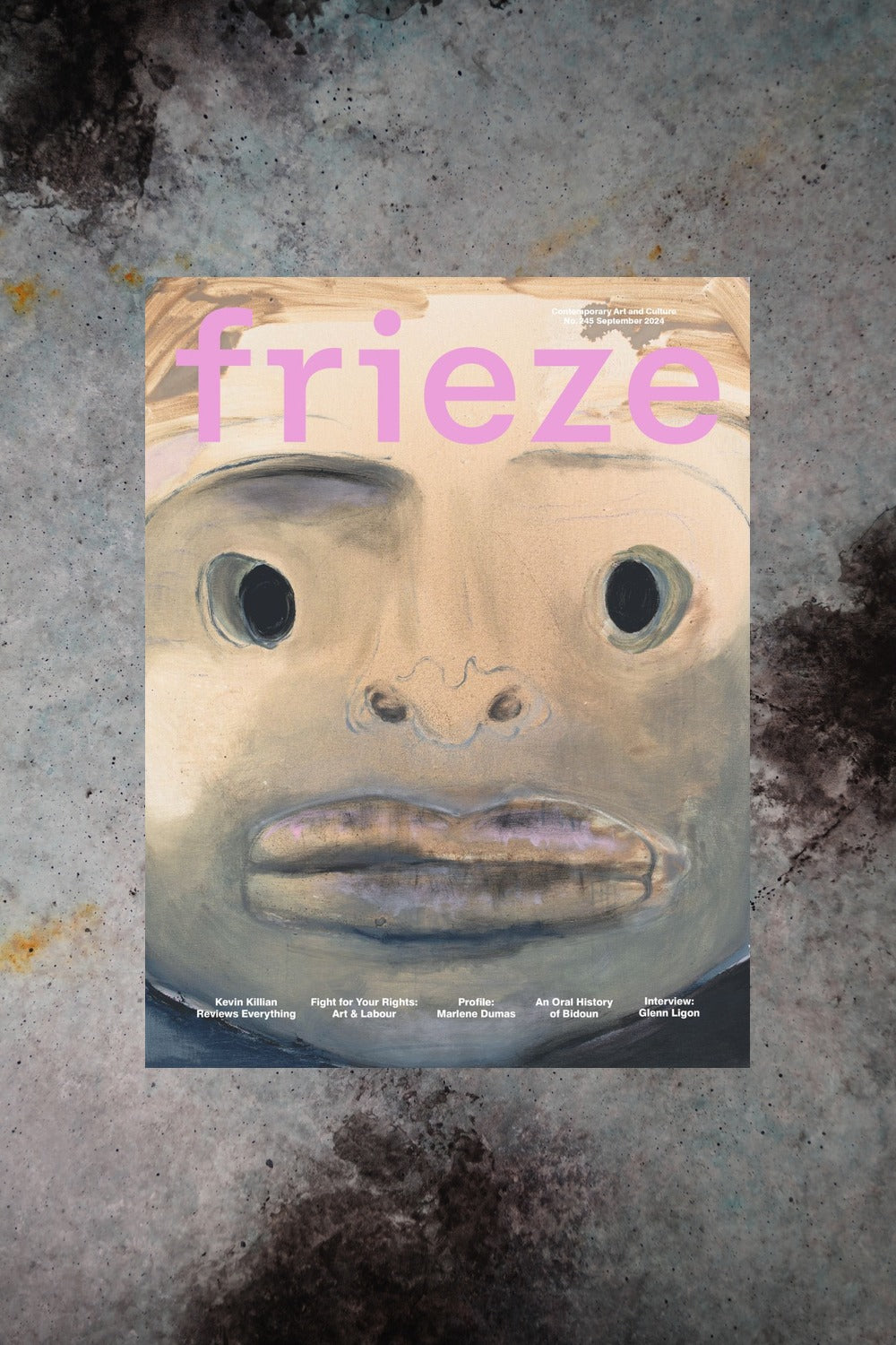 Frieze 245 Cover