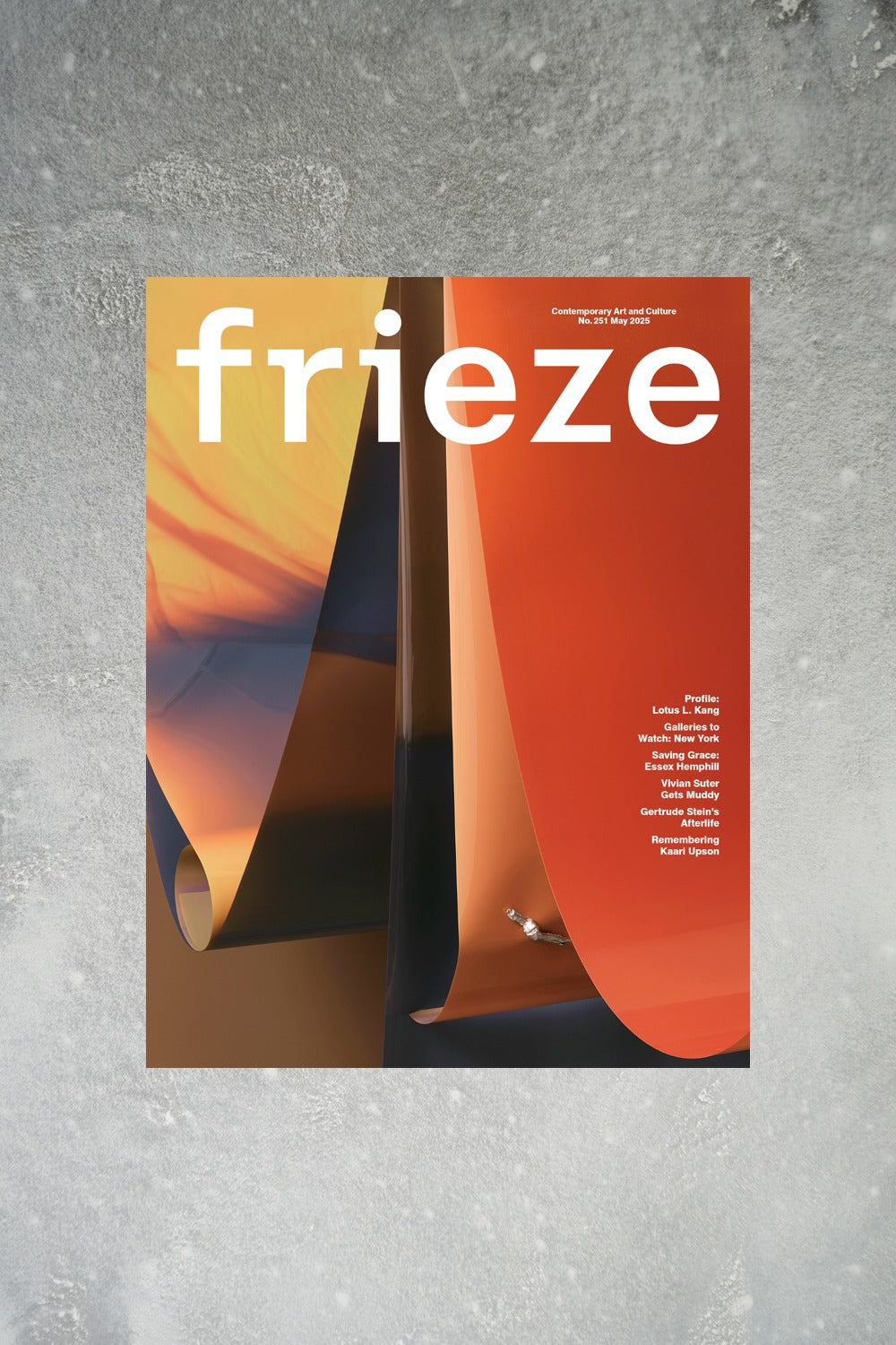 Frieze Issue 251 Cover