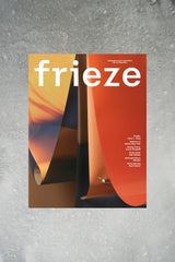 Frieze Issue 251 Cover