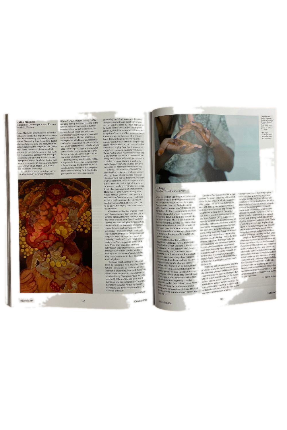 Frieze Issue 254