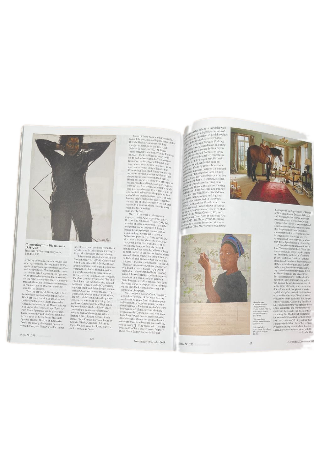 Frieze Issue 255