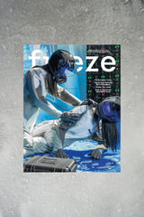 Frieze 255 Cover