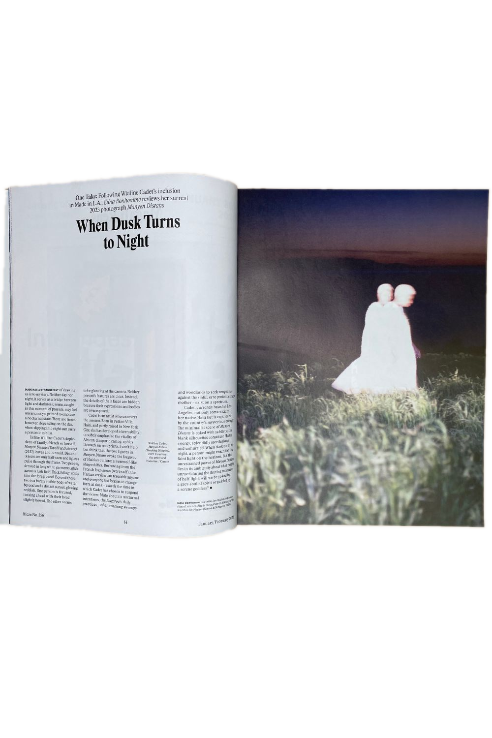 Frieze Issue 256