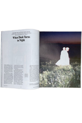 Frieze Issue 256