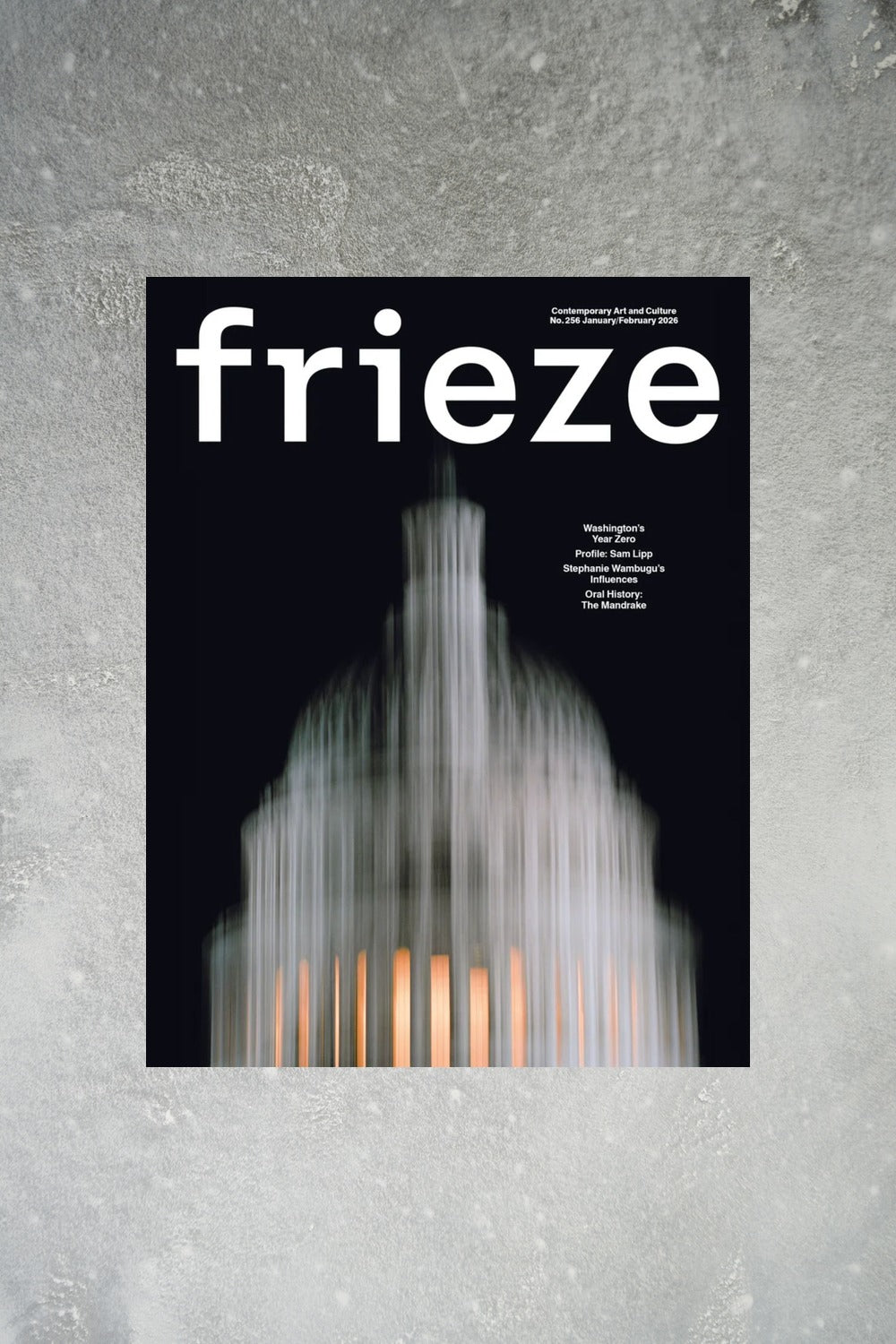 Cover of Frieze issue 256