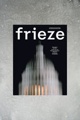 Cover of Frieze issue 256