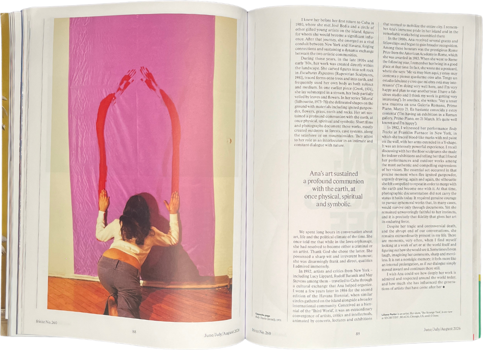 Frieze Issue 260