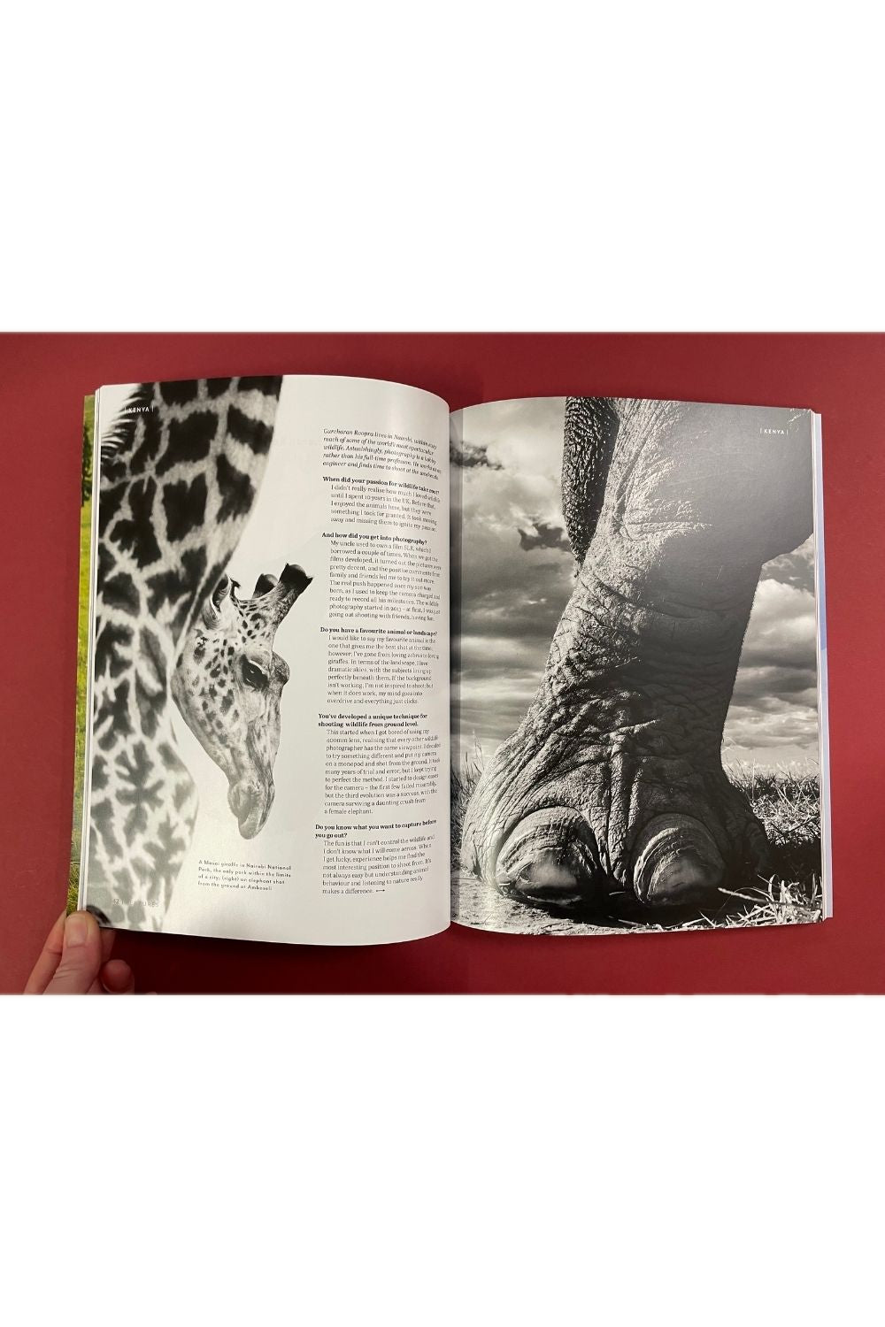 Good Place Issue 2