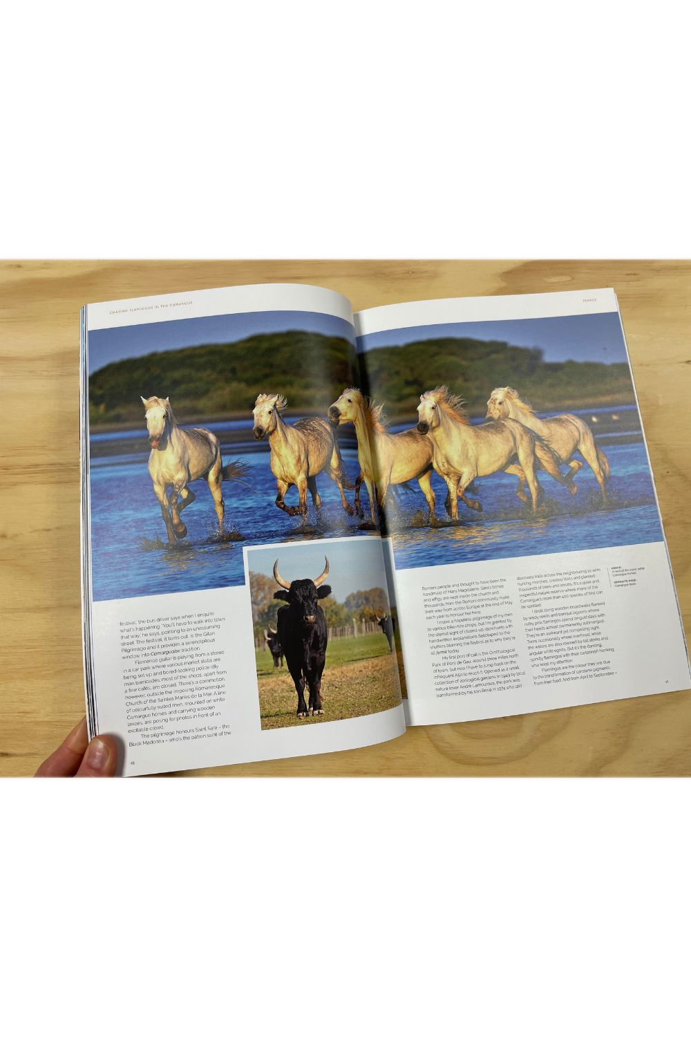 JRNY Issue 3
