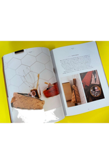 Koel Issue 12