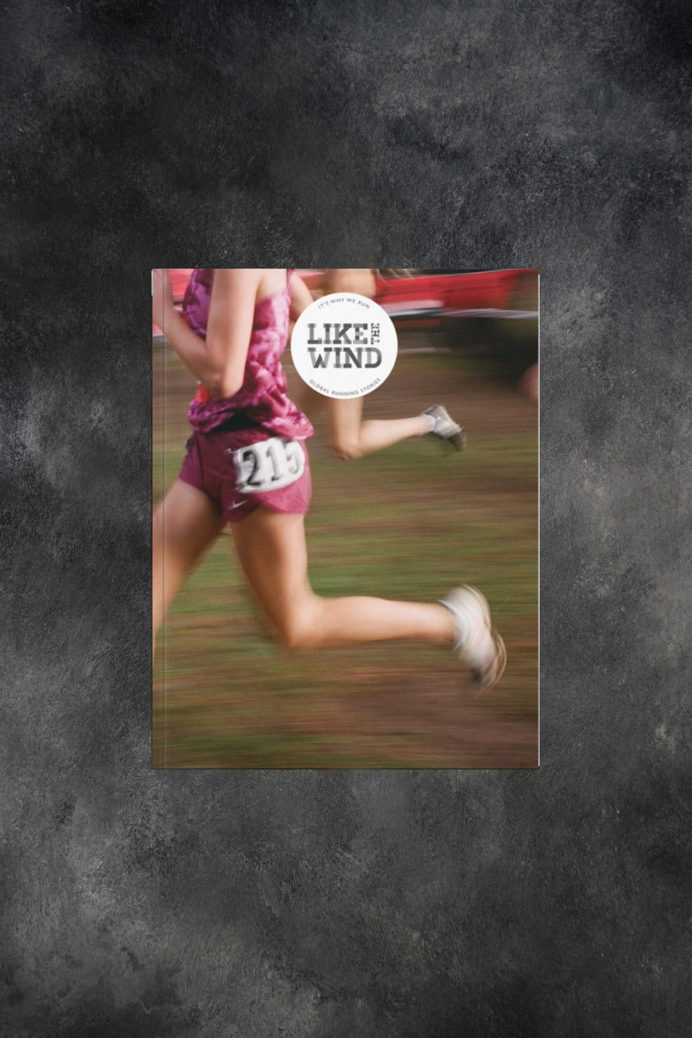Cover of Like the Wind issue 49