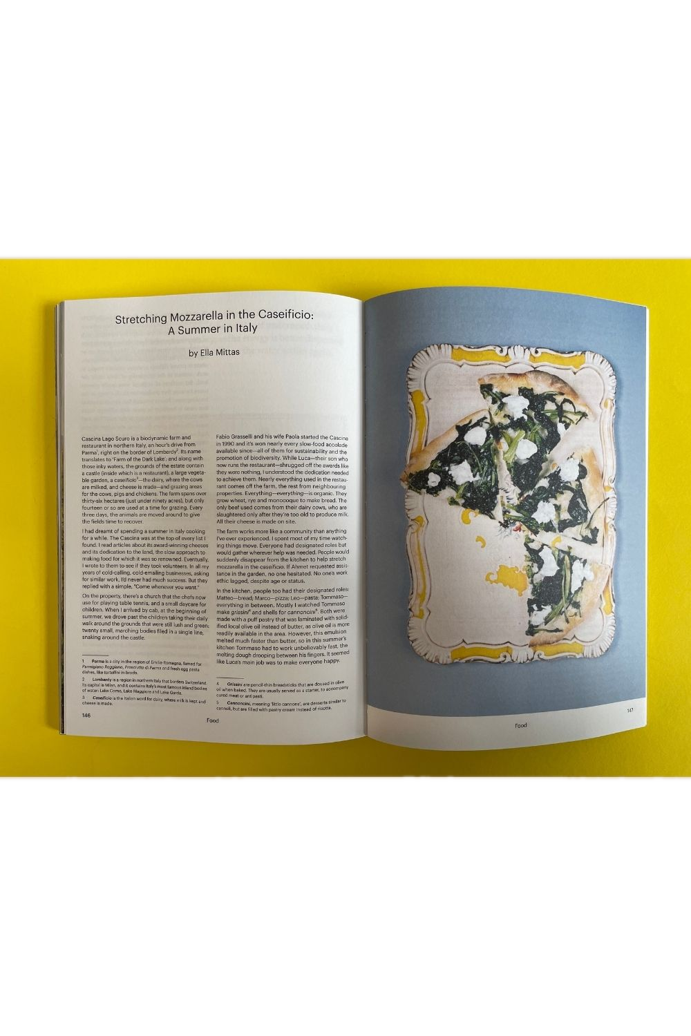 Lindsay Issue 5