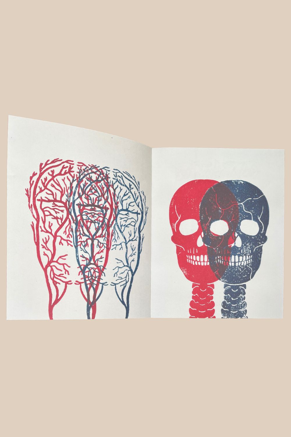 Little White Lies #110