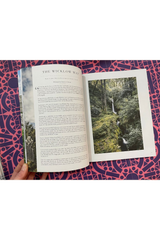 Lodestars Anthology 17 Ireland