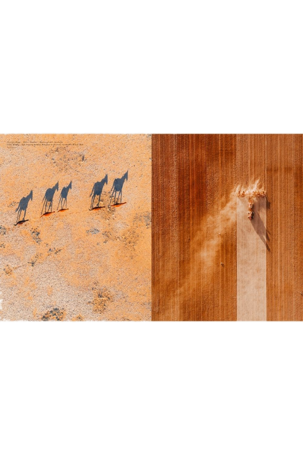 Lodestars Anthology 3: Australia