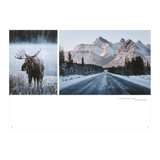 Lodestars Anthology Postcards