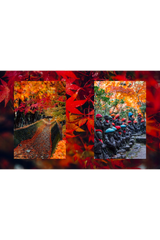 Lodestars Anthology 7: Japan Revisited