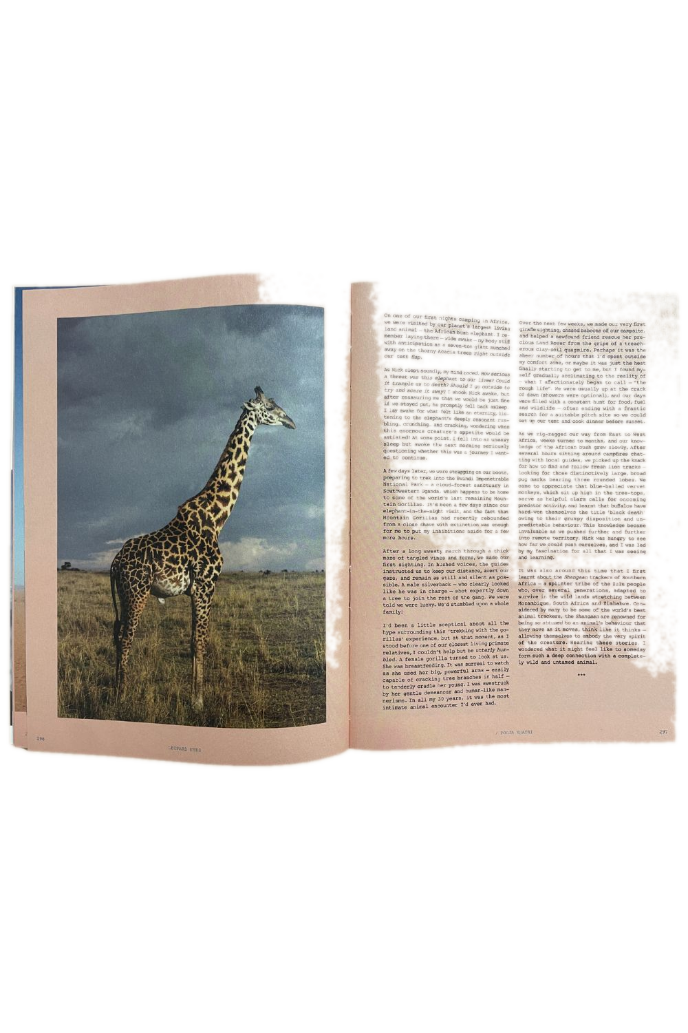 Lost Issue 11