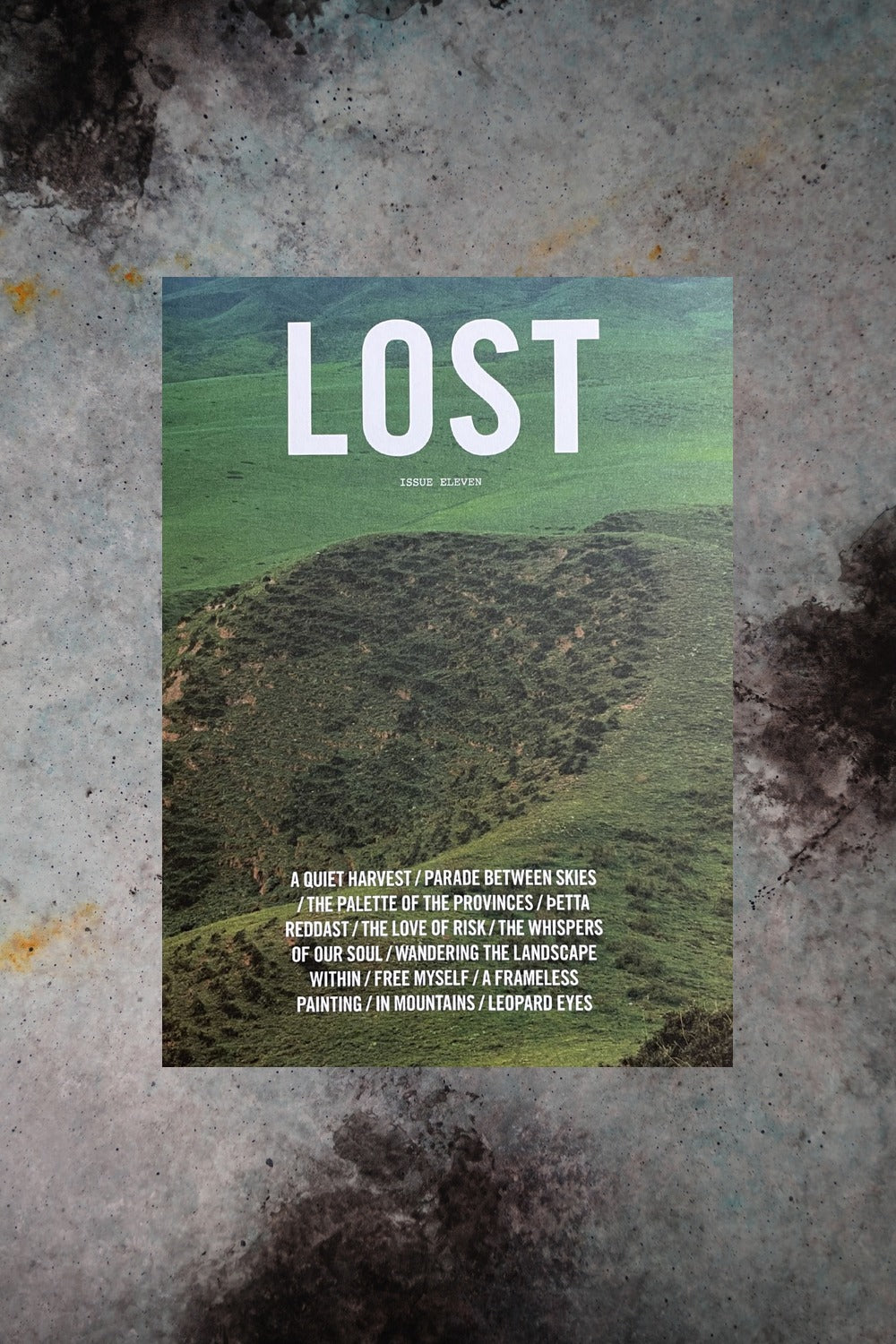 Cover of LOST issue 11