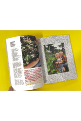 Lunch Lady Issue 27