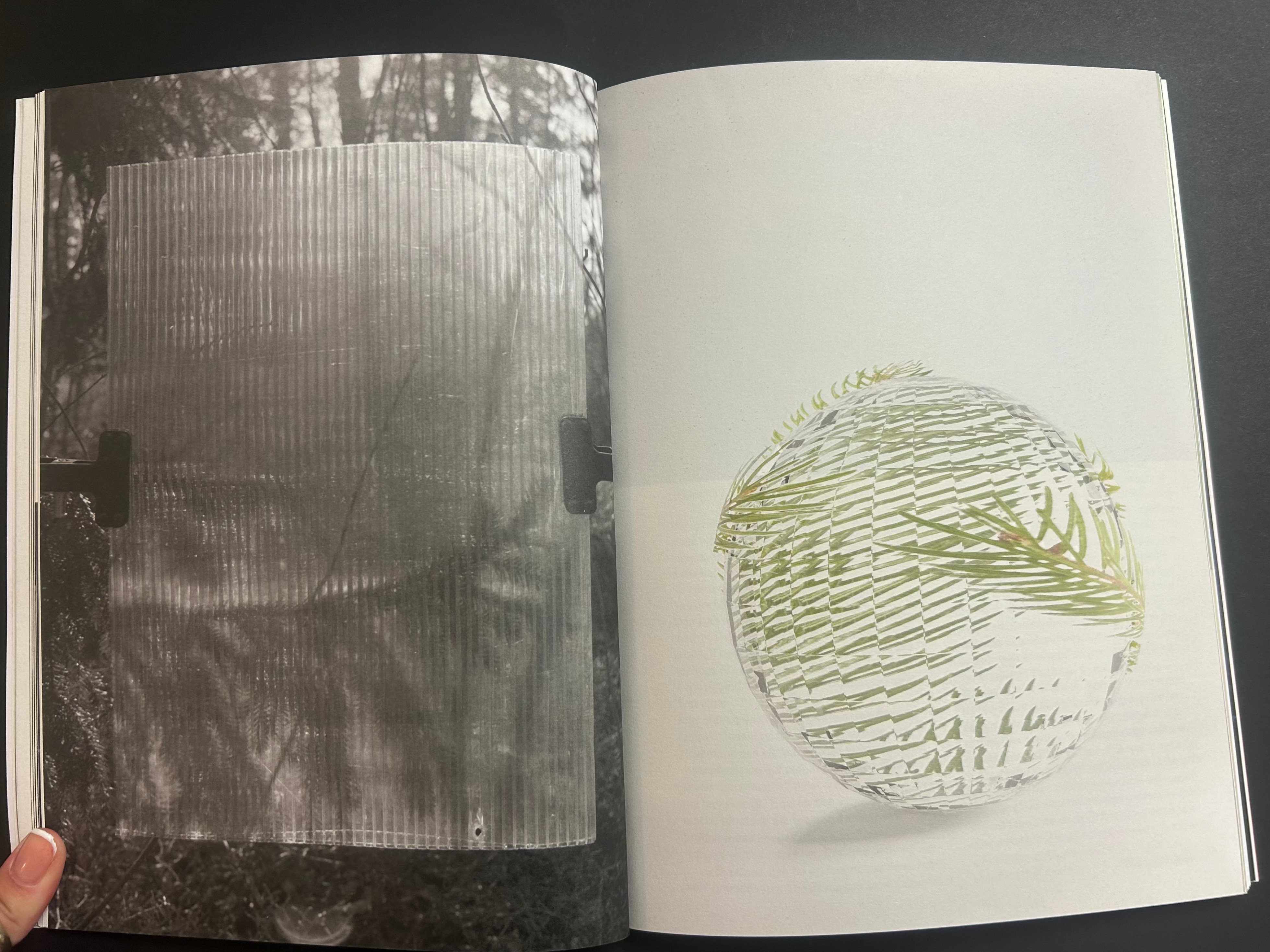 The Light Observer, Issue 4