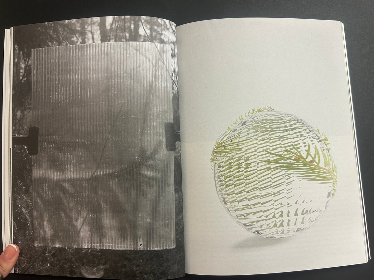 The Light Observer, Issue 4