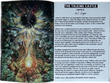 Means Issue 6