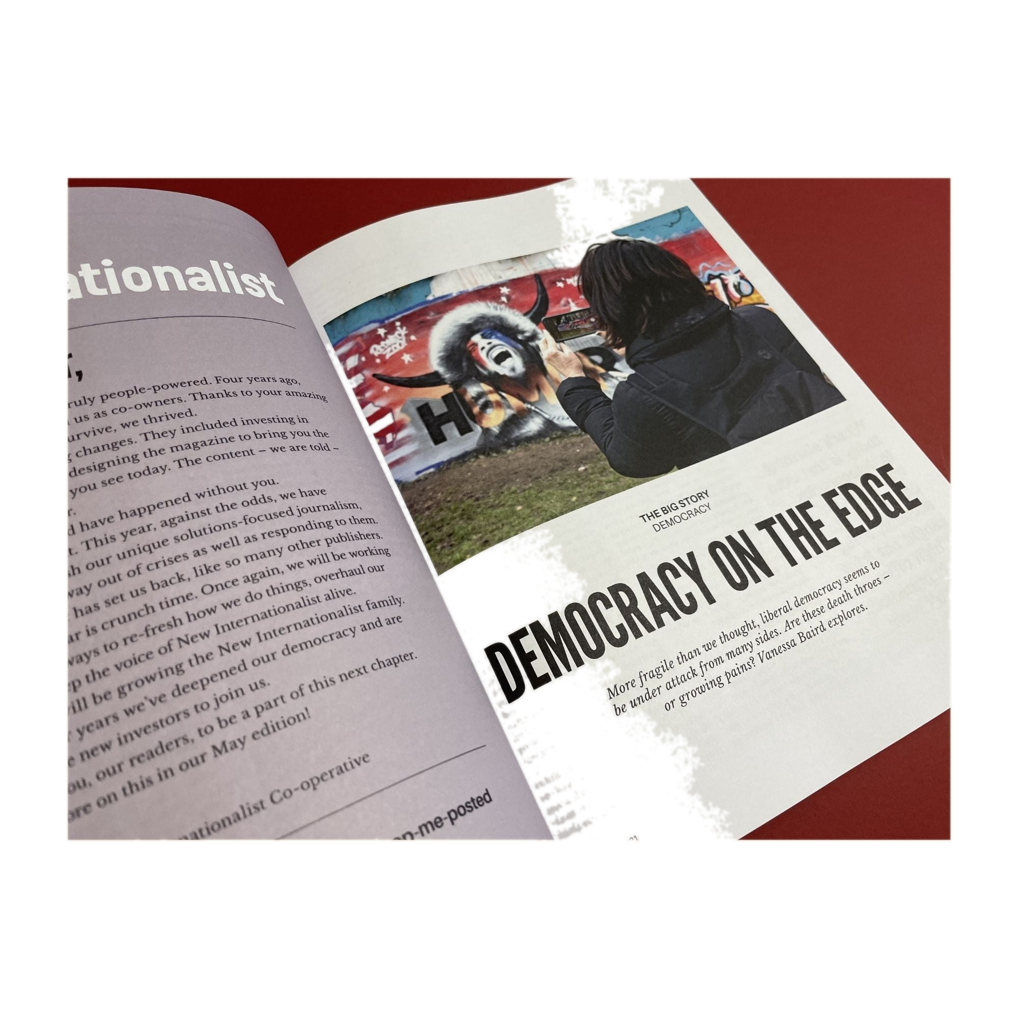 New Internationalist Issue 530