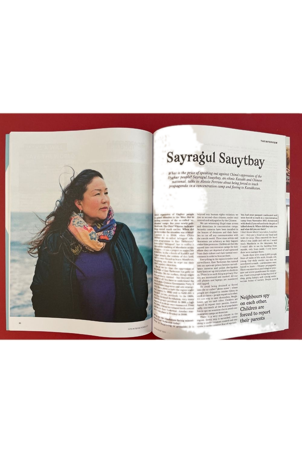 New Internationalist Issue 532