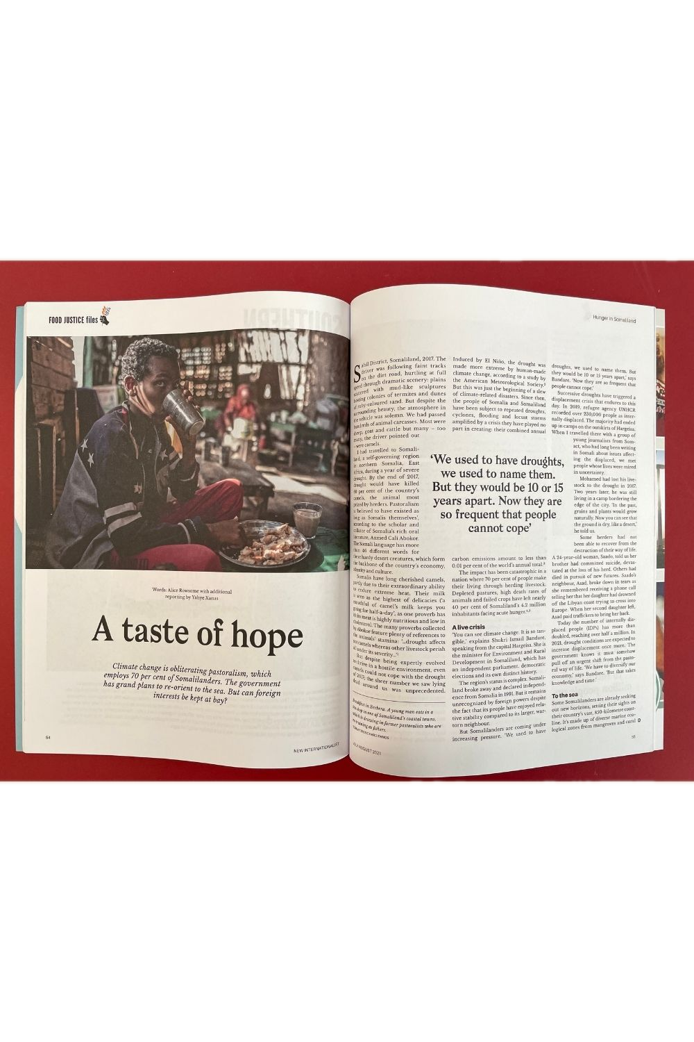 New Internationalist Issue 532