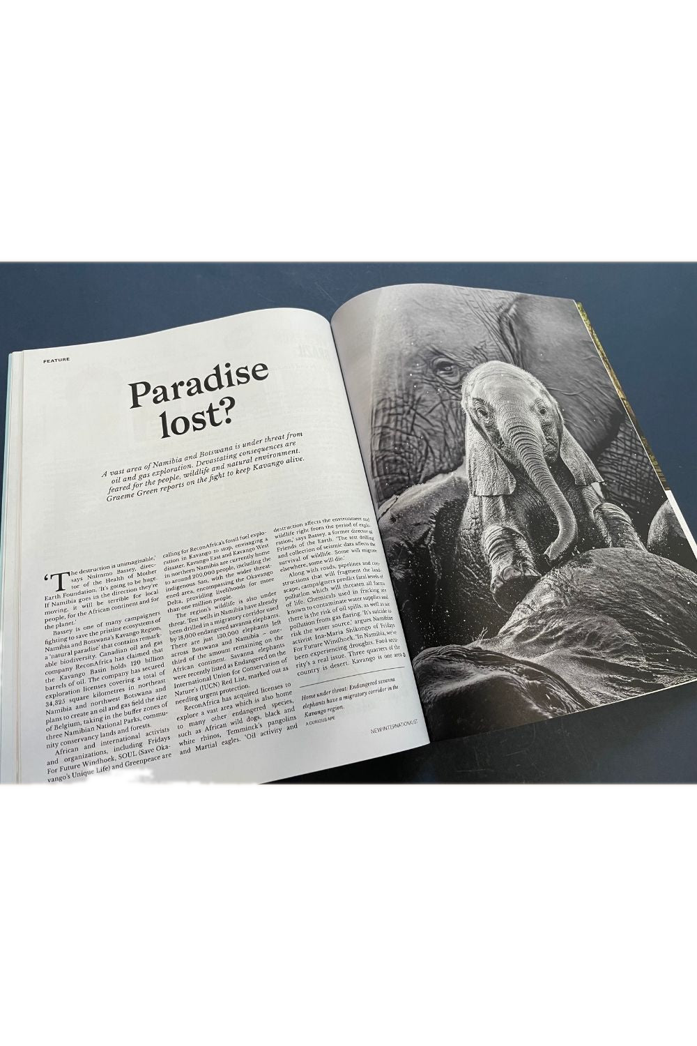 New Internationalist Issue 534