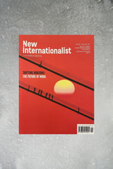 New Internationalist Issue 534