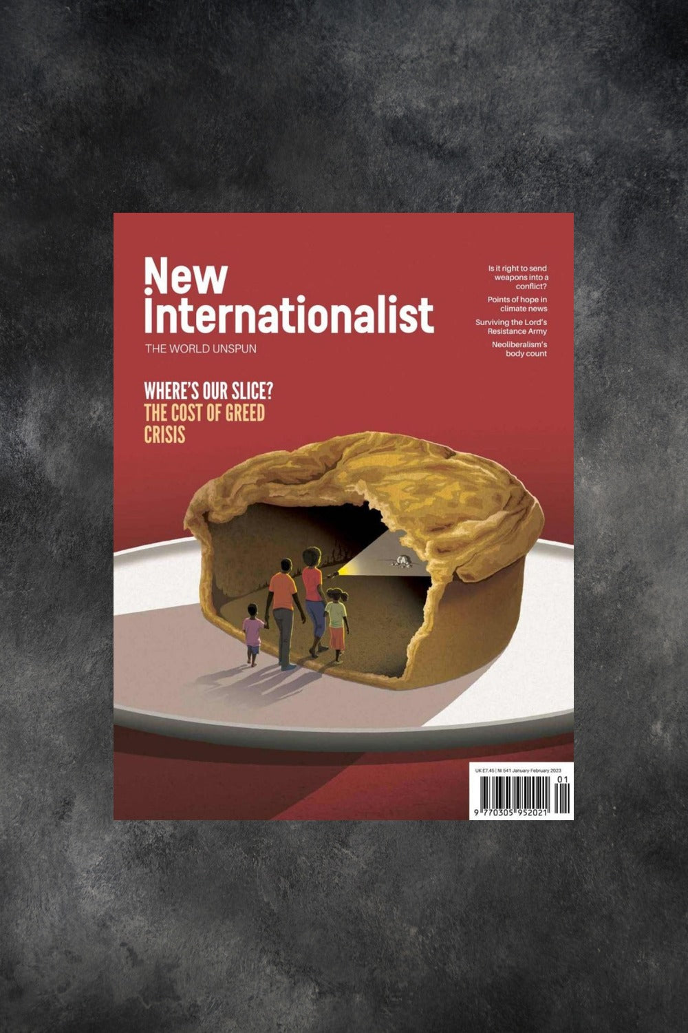 New Internationalist Issue 541