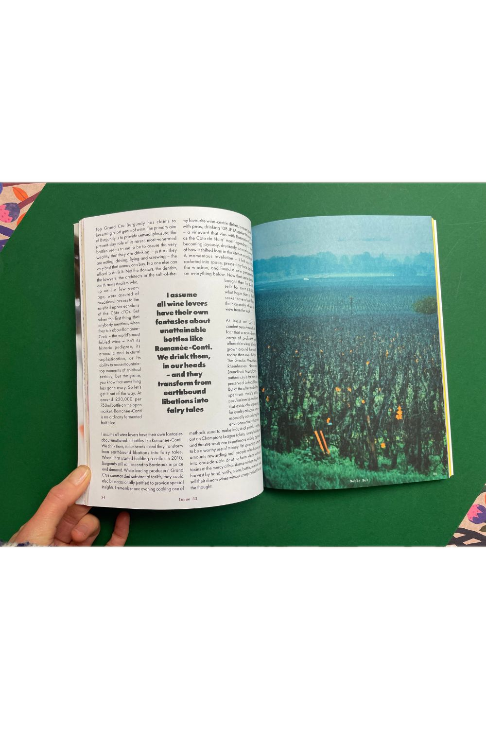 Noble Rot Issue 33