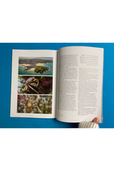 Oceanographic Issue 35