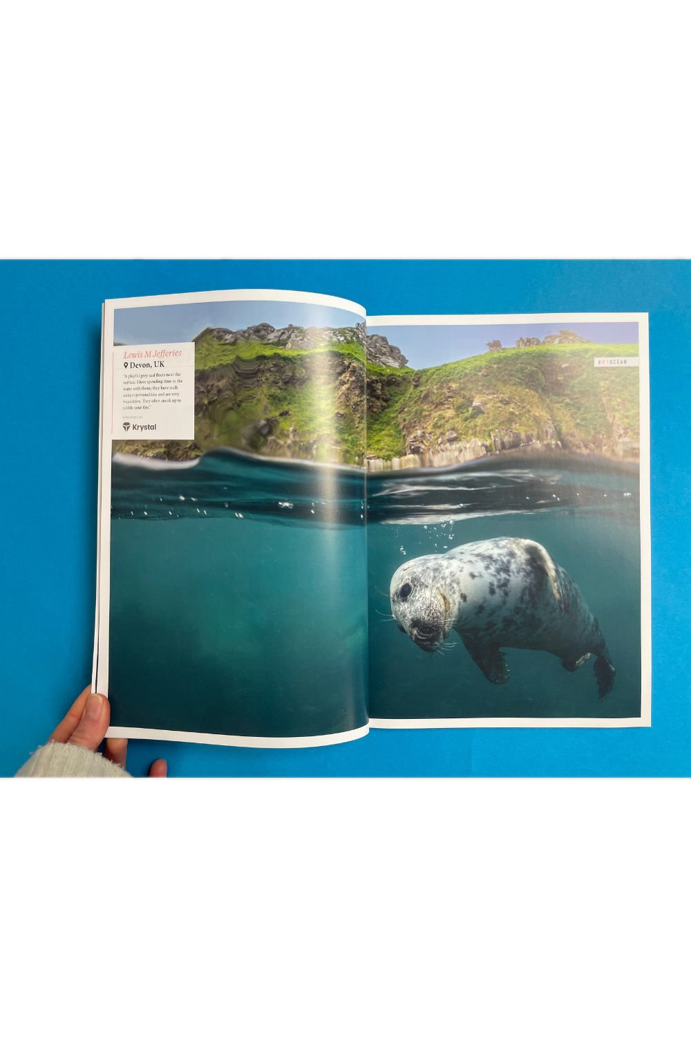 Oceanographic Issue 35
