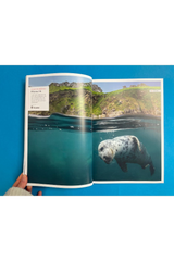 Oceanographic Issue 35