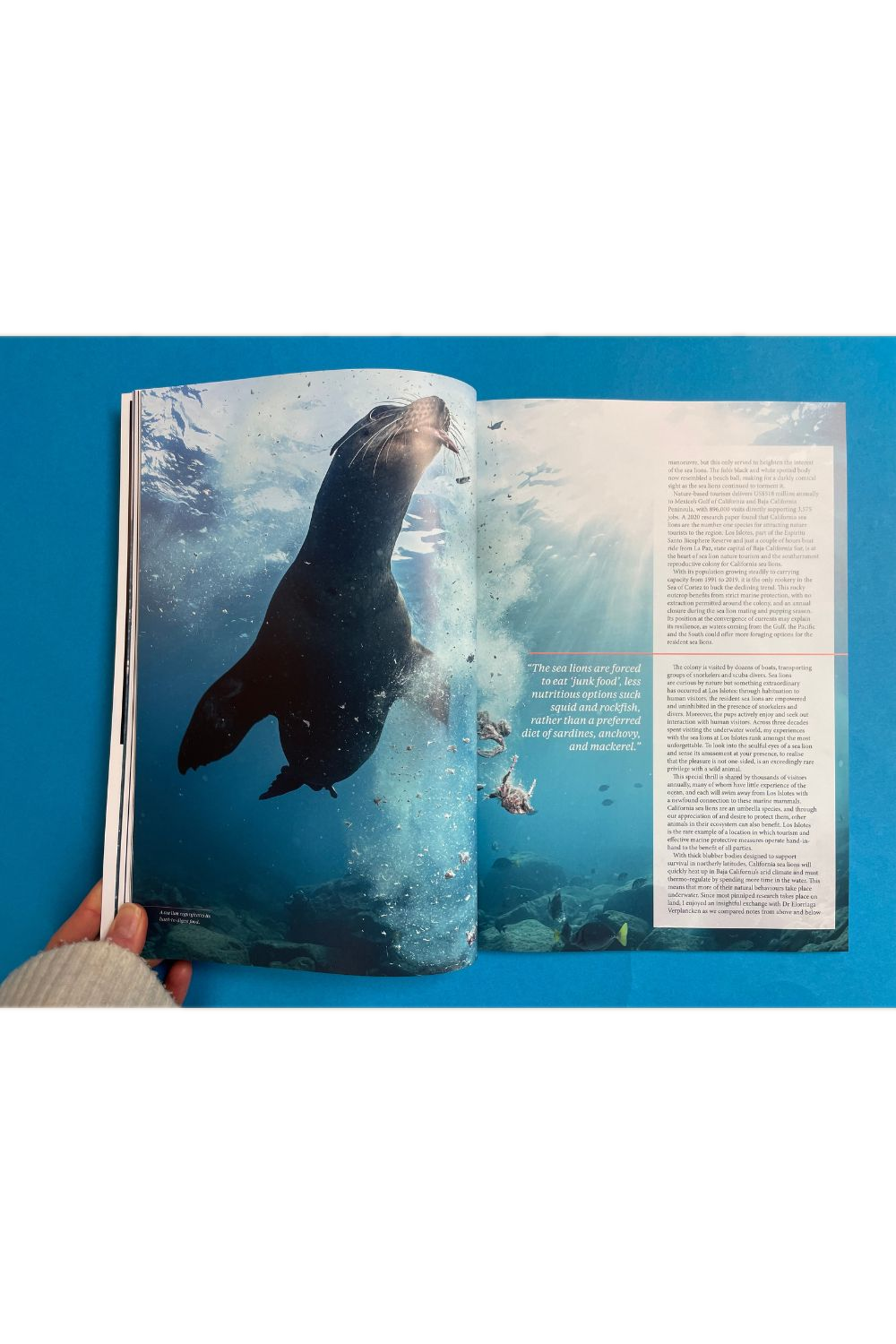 Oceanographic Issue 35
