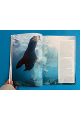 Oceanographic Issue 35