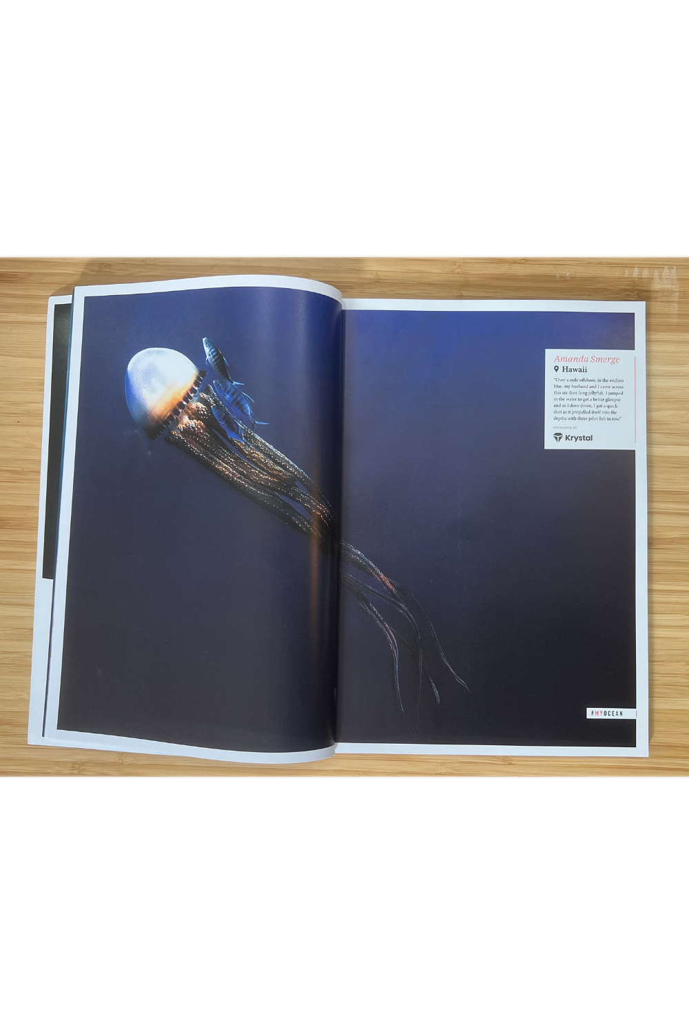 Oceanographic Issue 38