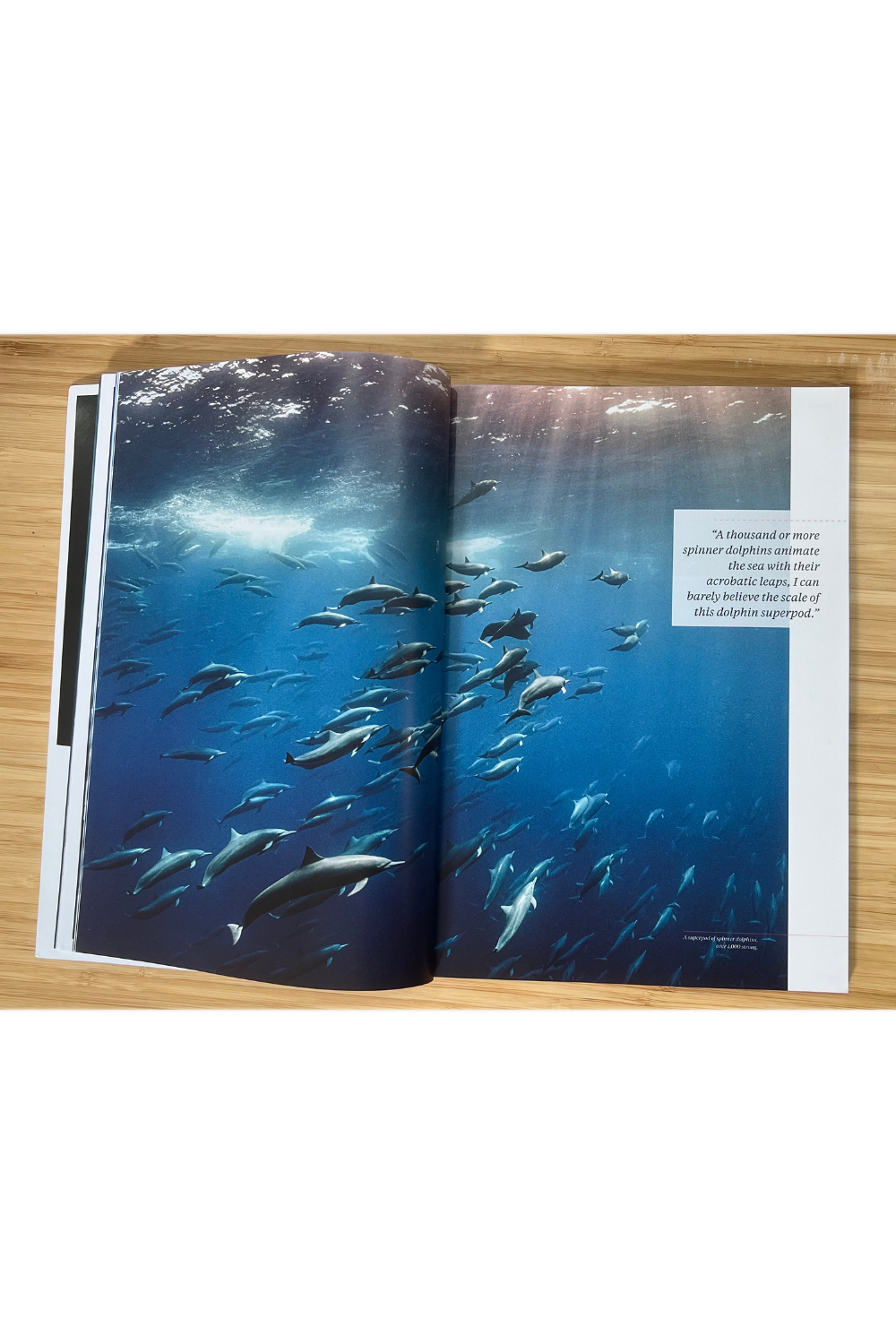 Oceanographic Issue 38